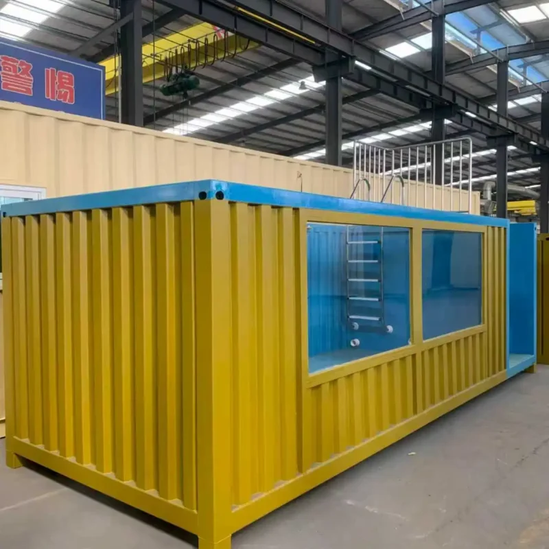 20ft 40ft Custom Container pool for exporting